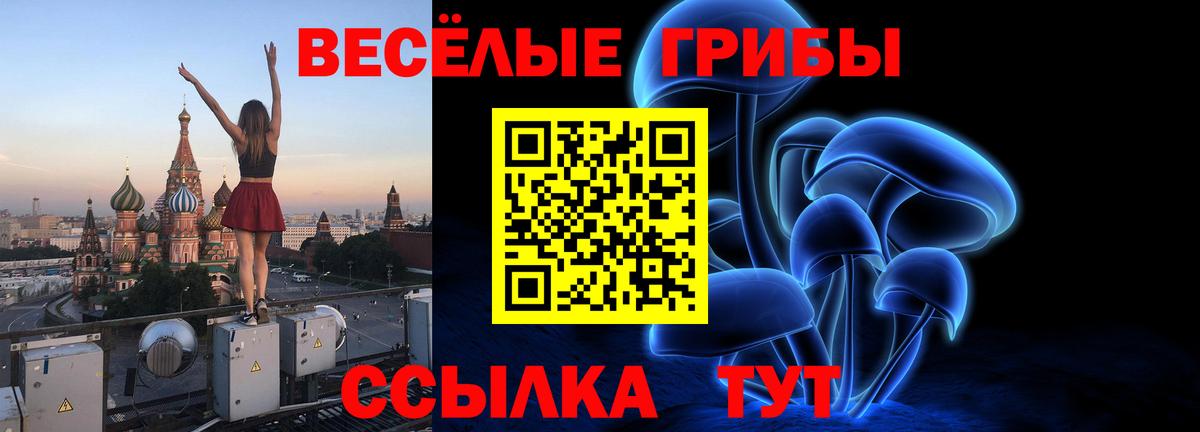 Галлюциногенные грибы Cubensis  Вход с VPN  Бузулук 